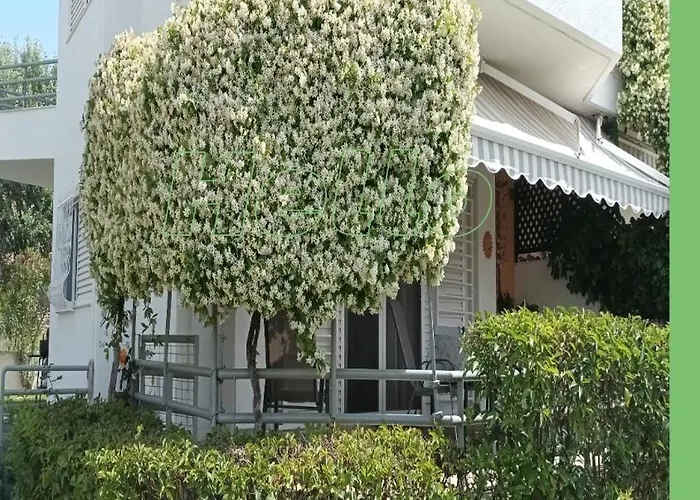 Kleo Haus דירה