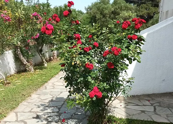 Kleo Haus דירה